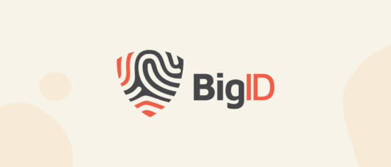 BigID logo